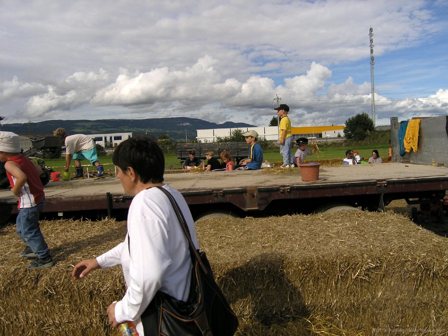 P8291573.jpg