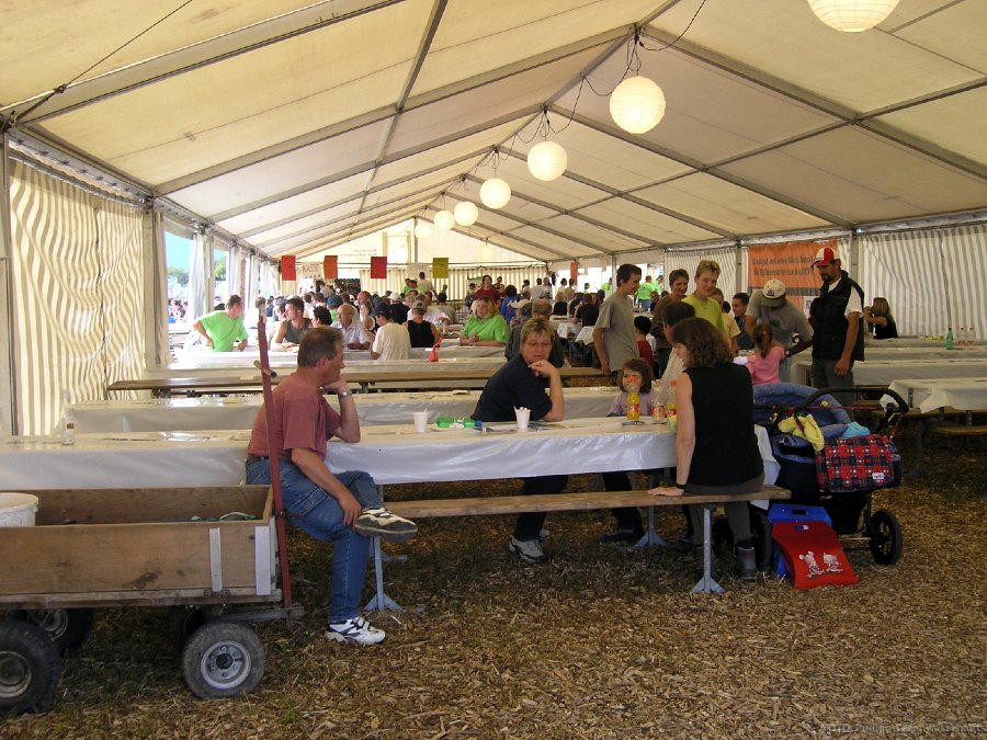 P8291578.jpg