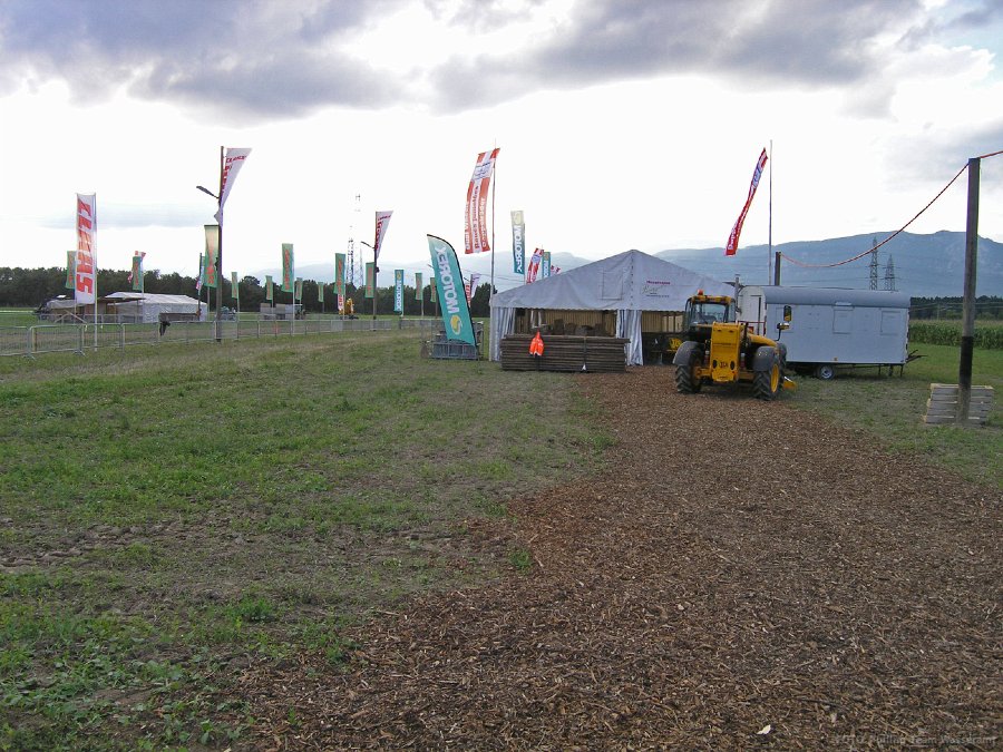 P8245393.JPG